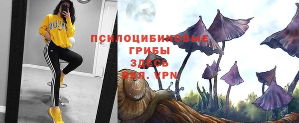 мдпв Балахна